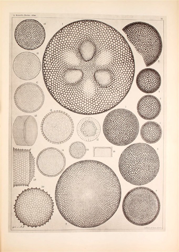 n92_w1150