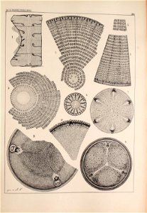 n46_w1150