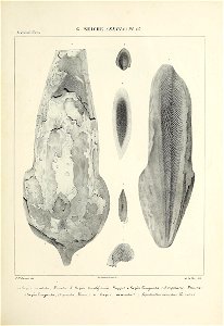 n166_w1150