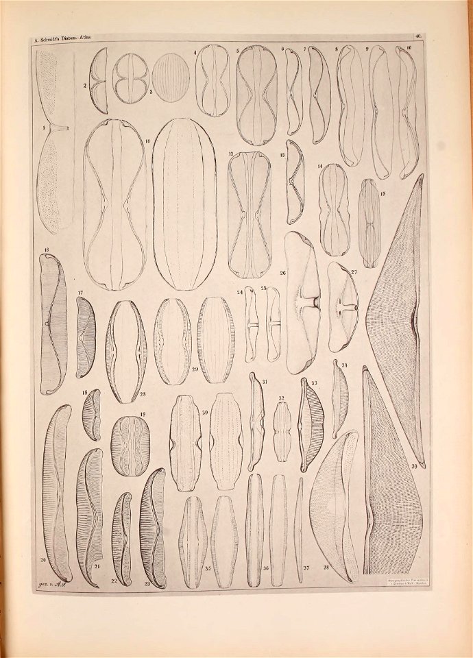 n204_w1150