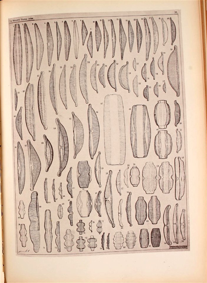 n132_w1150