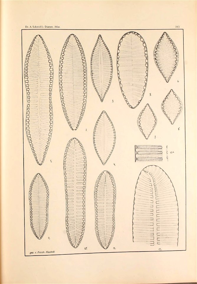 n198_w1150
