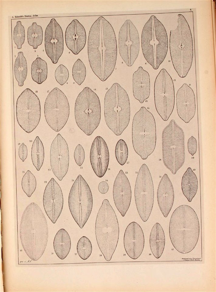 n38_w1150