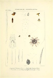n292_w1150
