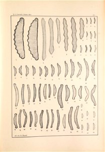 n158_w1150