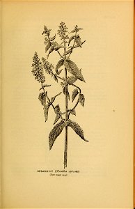 n368_w1150