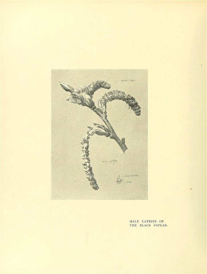 n285_w1150