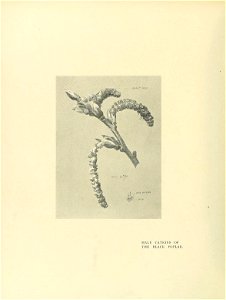 n285_w1150