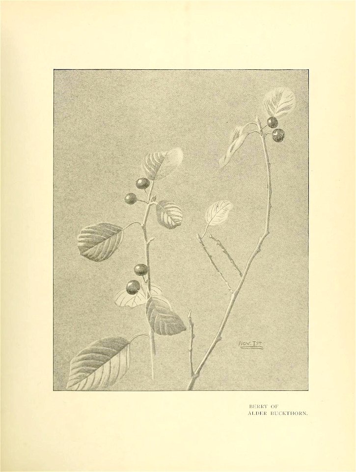 n46_w1150