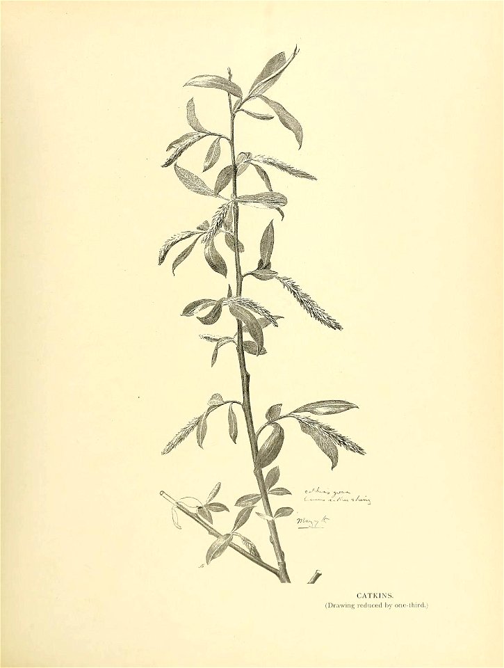 n92_w1150