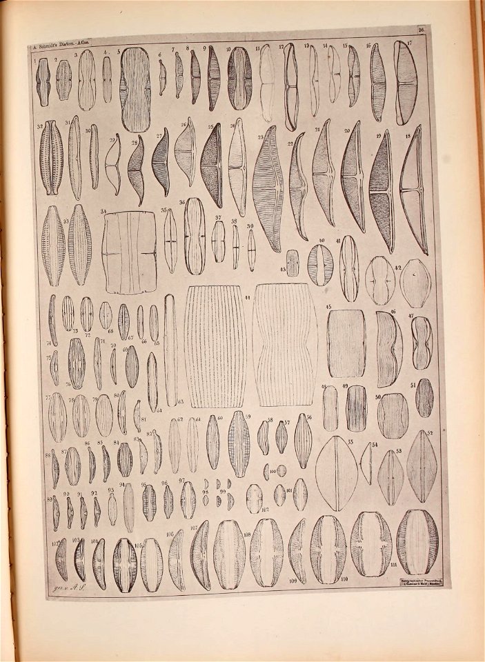 n136_w1150