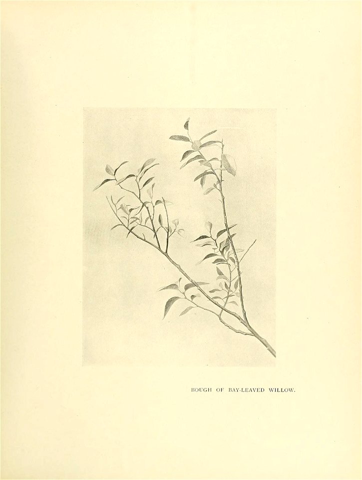 n124_w1150