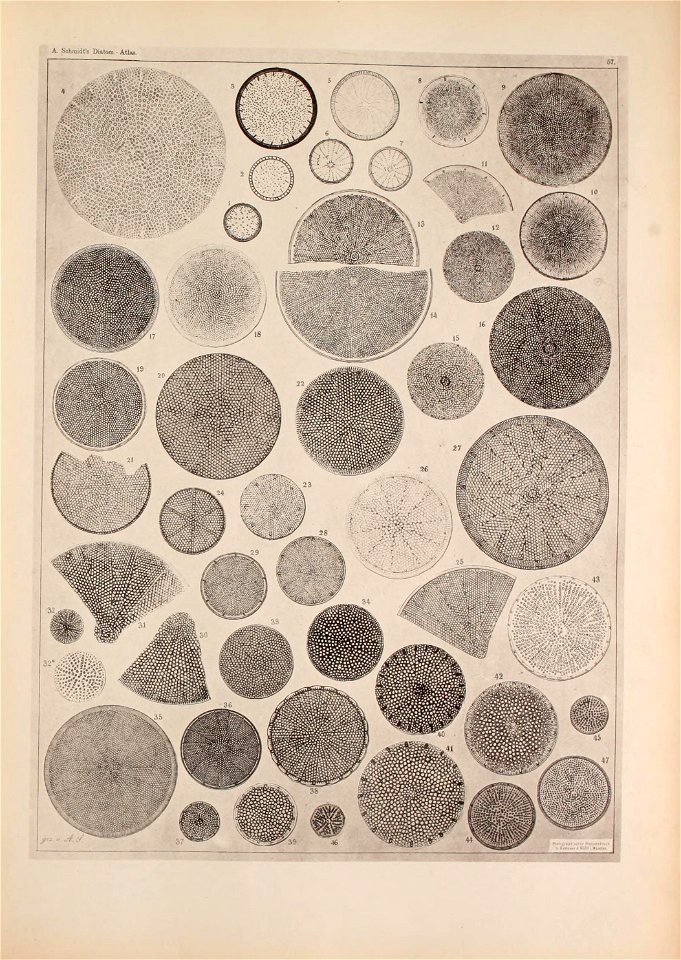 n52_w1150