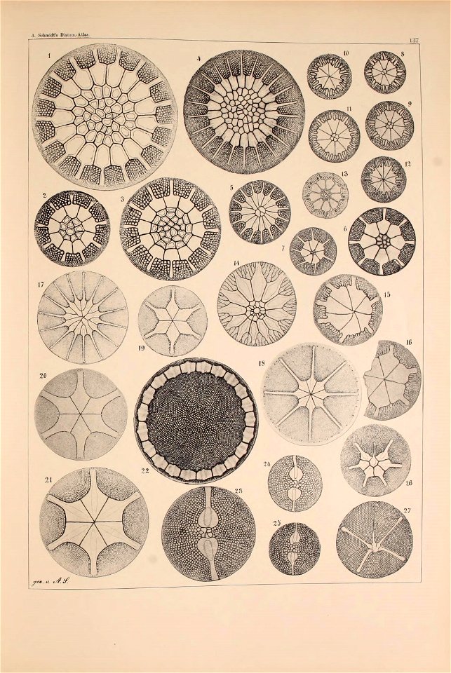 n184_w1150