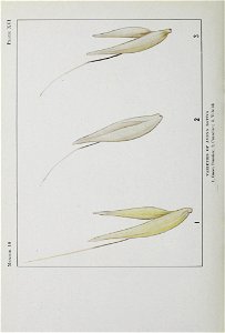 n115_w1150