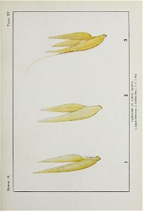n114_w1150