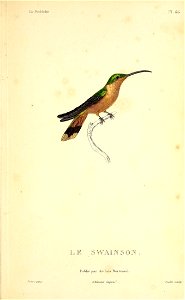 n360_w1150