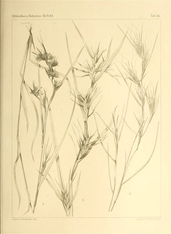 n618_w1150