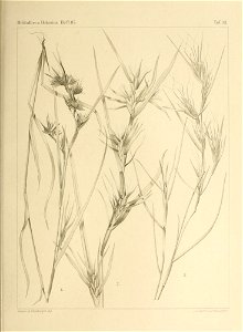n618_w1150