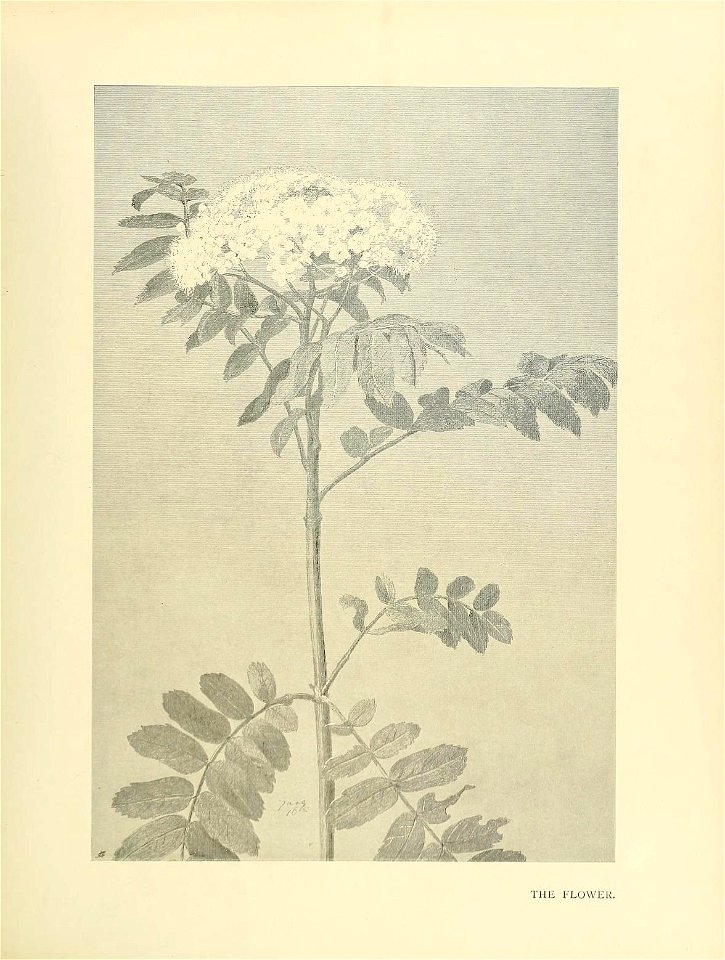 n206_w1150