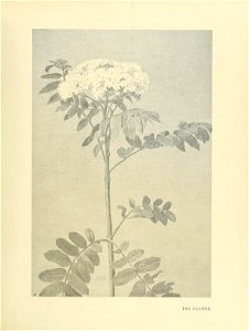 n206_w1150