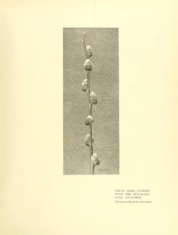 n108_w1150