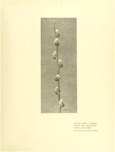 n108_w1150