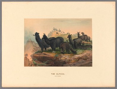 n59_w1150