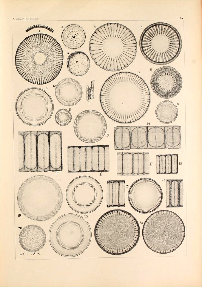 n153_w1150