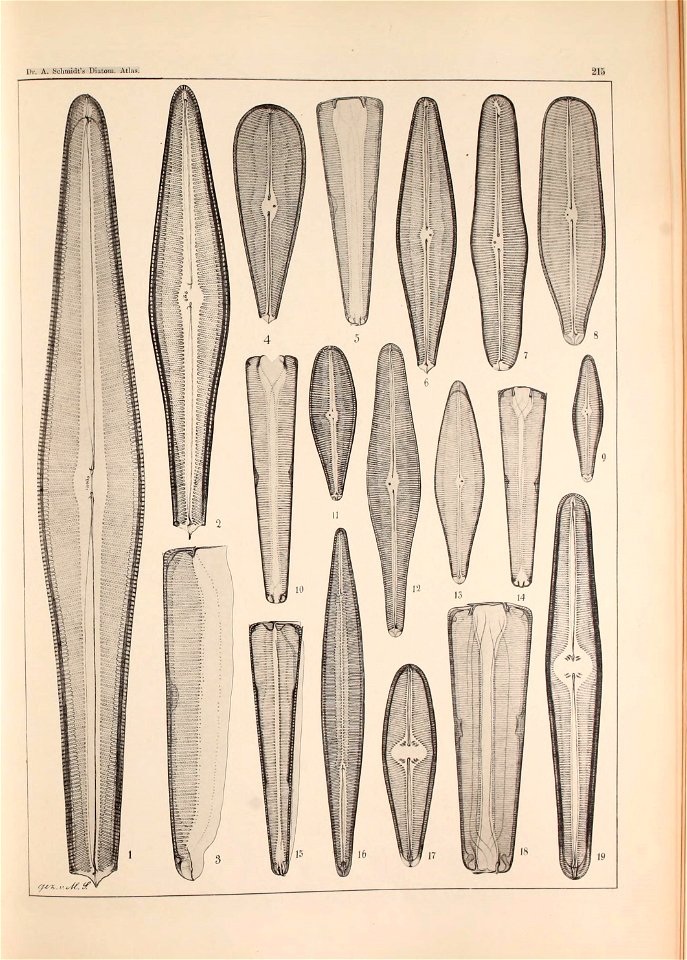 n106_w1150
