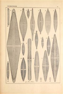 n14_w1150