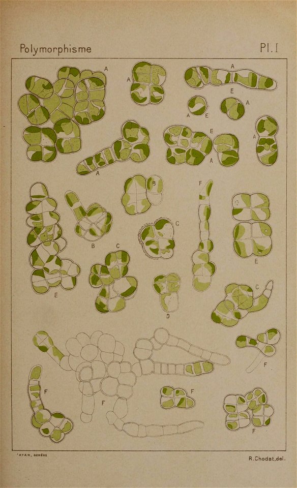 n176_w1150