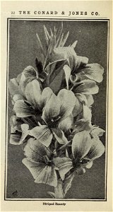 n23_w1150