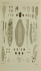 n316_w1150