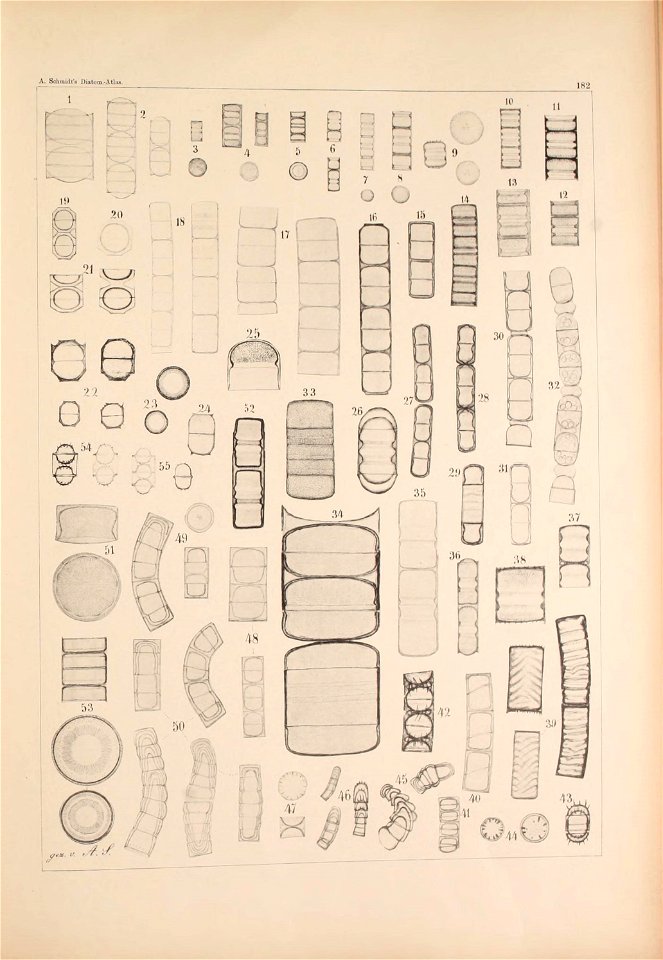 n167_w1150