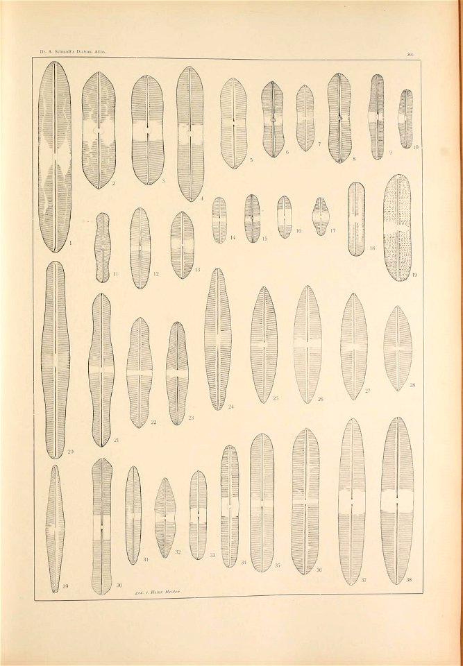 n94_w1150