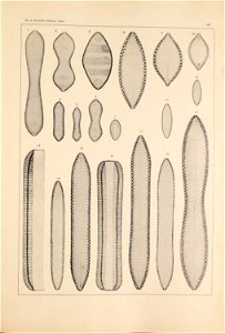 n28_w1150