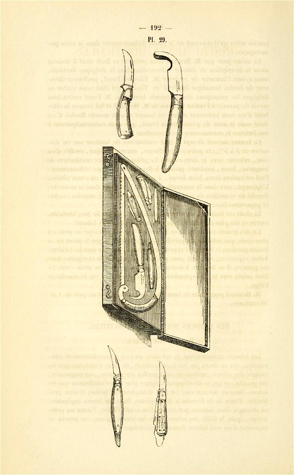 n243_w1150