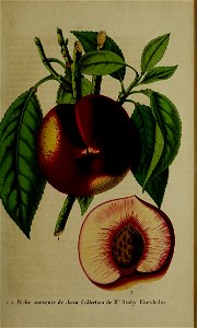 n156_w1150