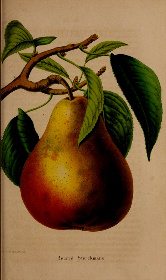 n339_w1150