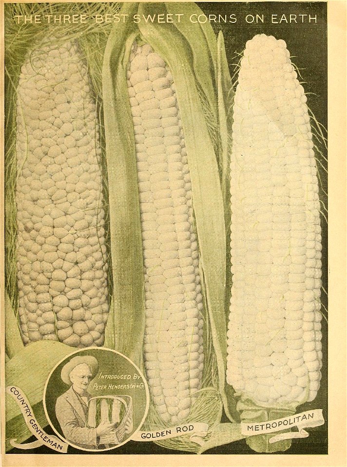 n42_w1150