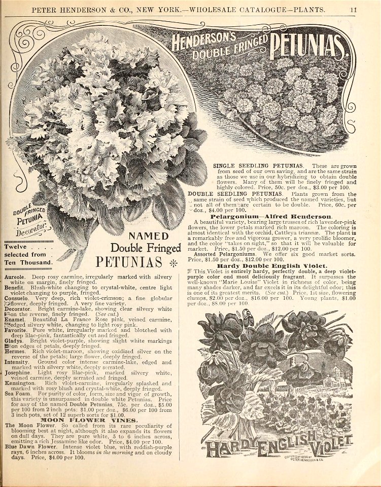 n506_w1150