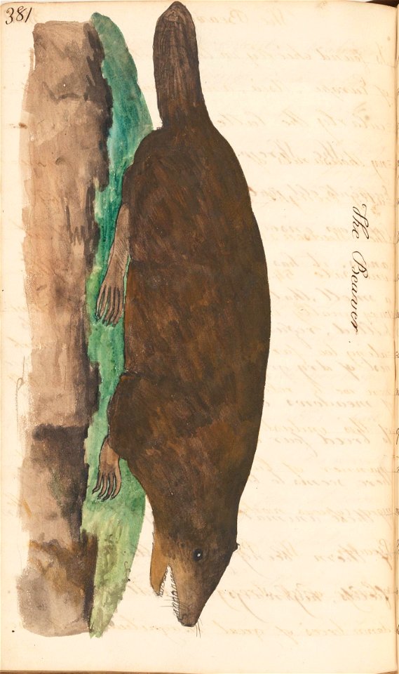 n407_w1150