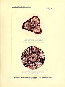 n40_w1150