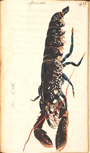 n512_w1150