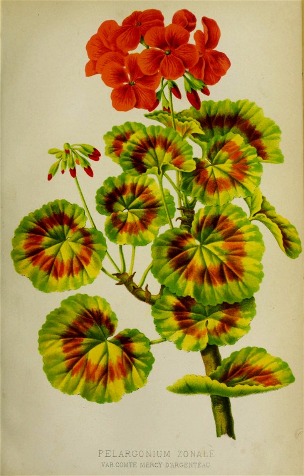 n363_w1150