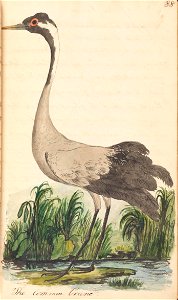 n114_w1150