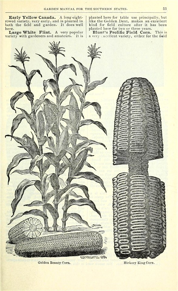 n56_w1150