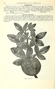 n143_w1150