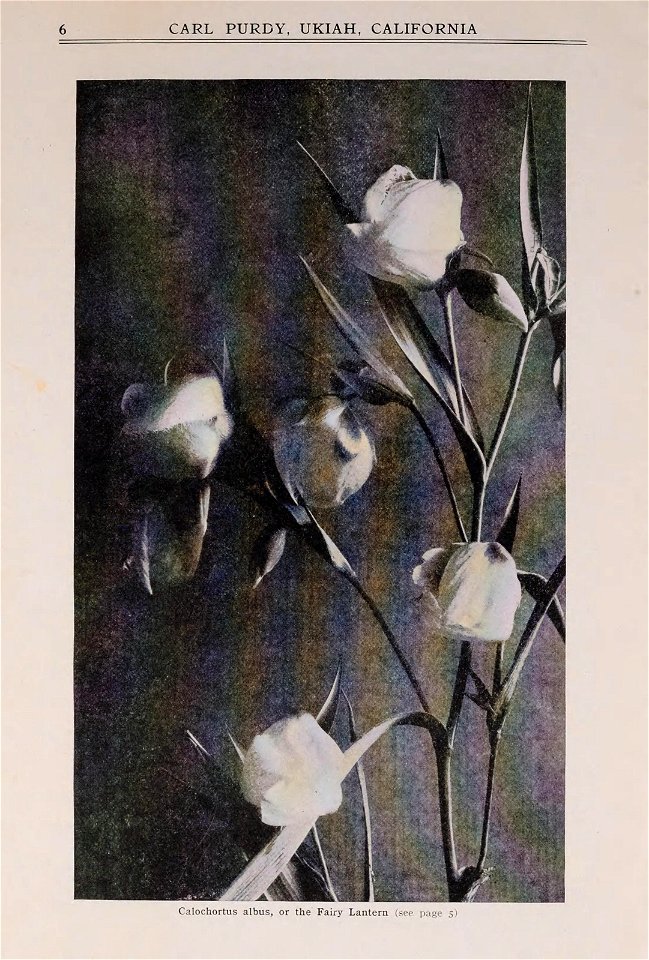 n9_w1150